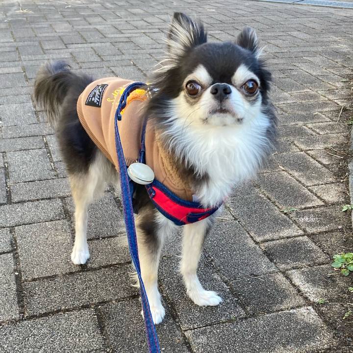 92b99cfc a86c 4466 96b2 2d354dd2ae50 1705206006615