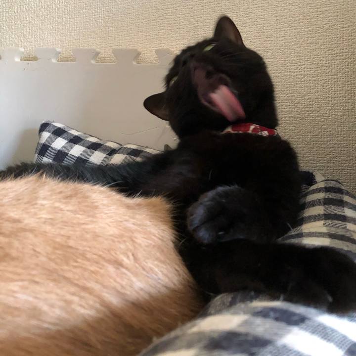 92b9d1d5 eb7f 4d7d 8725 d541a083cbfd 1577938045002