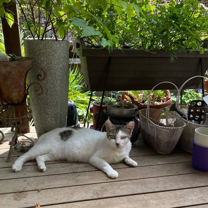 92ba12c7 703e 4eeb 86e1 4e4b2fb3e644 1659847301959