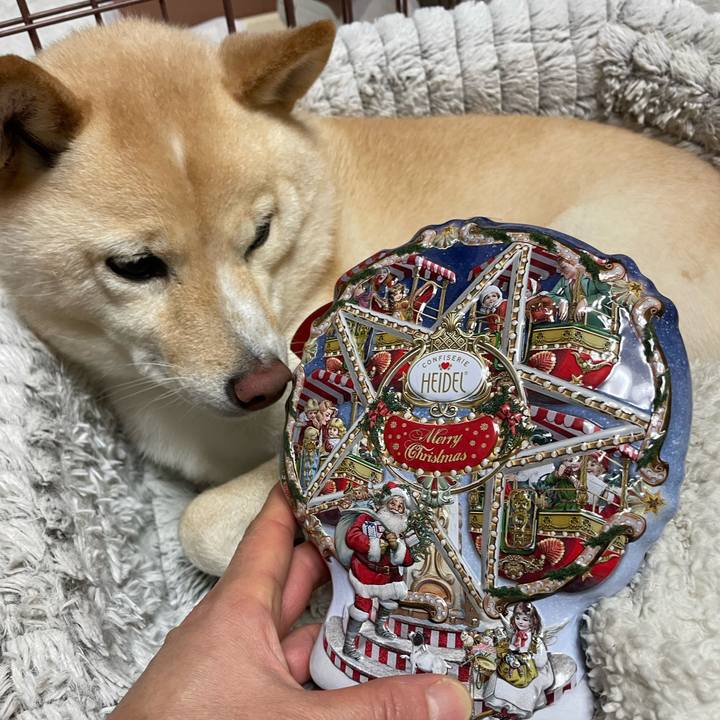 92ba1994 5e34 41bc 9eae 453d13a864e6 1700999266606