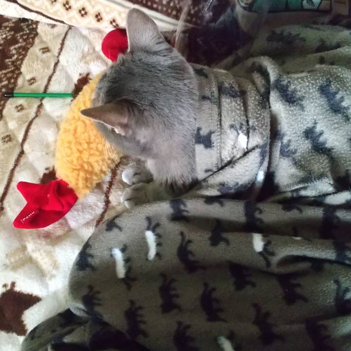 92ba2c2d 359d 48cb bf45 7b874833c915 1675472475324