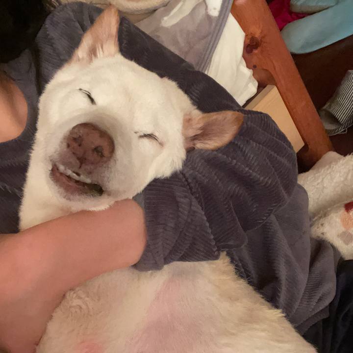 92ba348c dcf4 498c a9d1 91fc7fe305e4 1675140067173