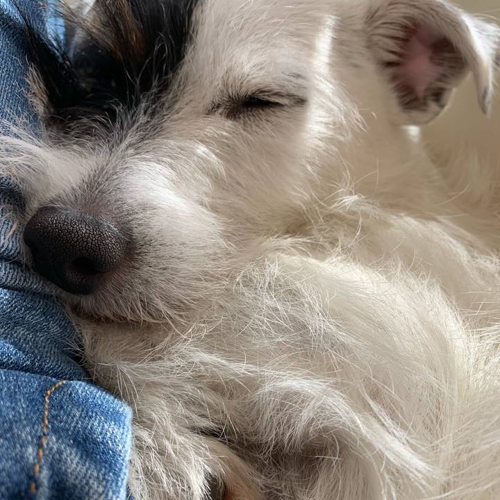 92ba5ab8 4ef6 443a 86aa 5aa095bdff67 1568689445447