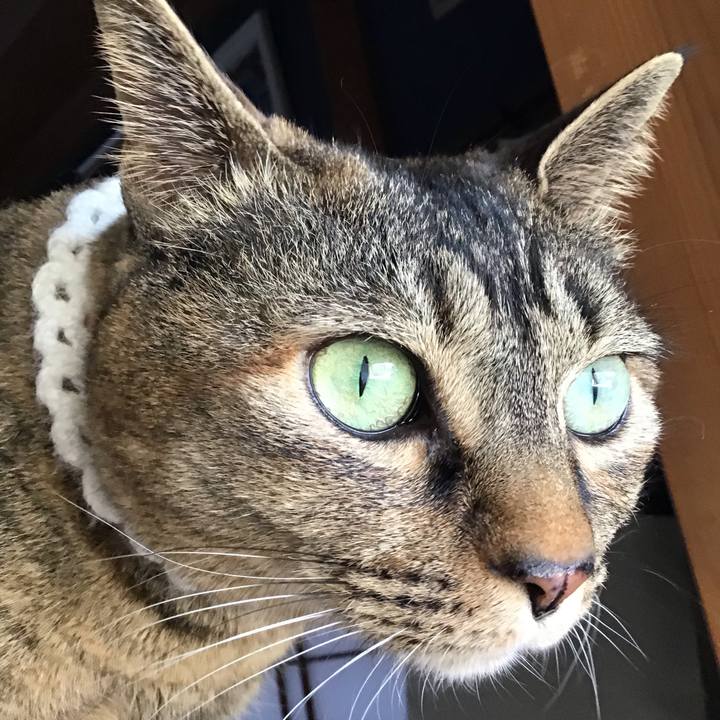 92ba78f4 52a9 4c9c af56 f542f3bb716c 1742630059051