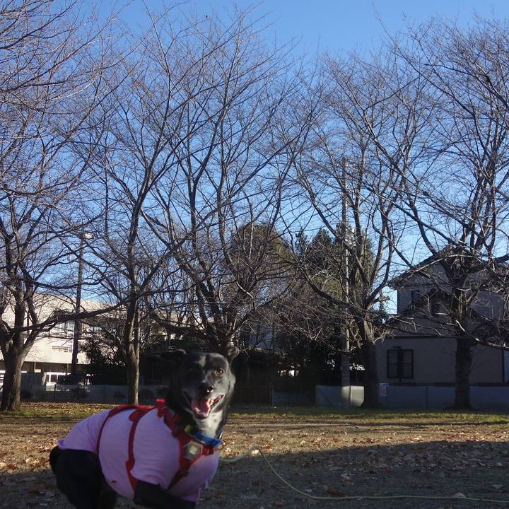 92ba798d 4654 4d51 9bb3 2d68014cbf46 1673313119810