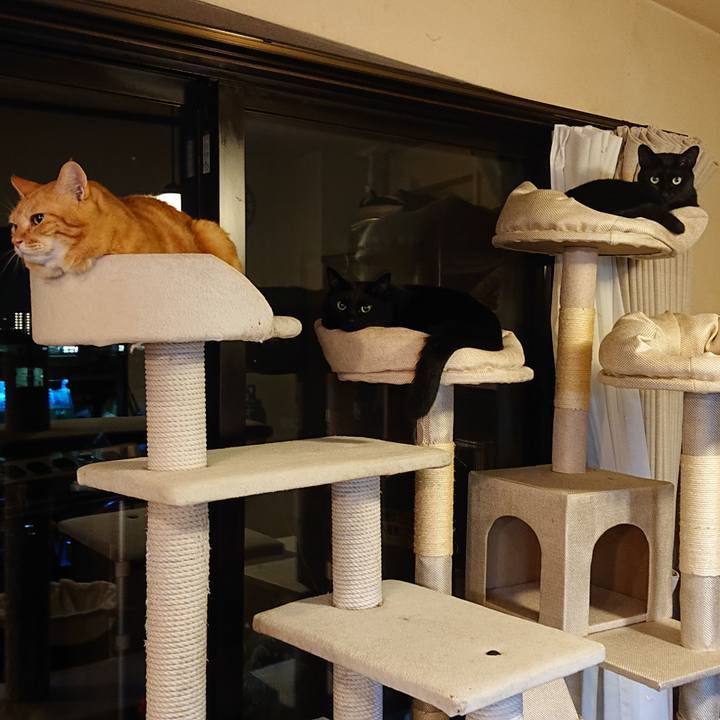 92bad7a6 d89e 4a7d 96c0 34165a558d58 1542065247192