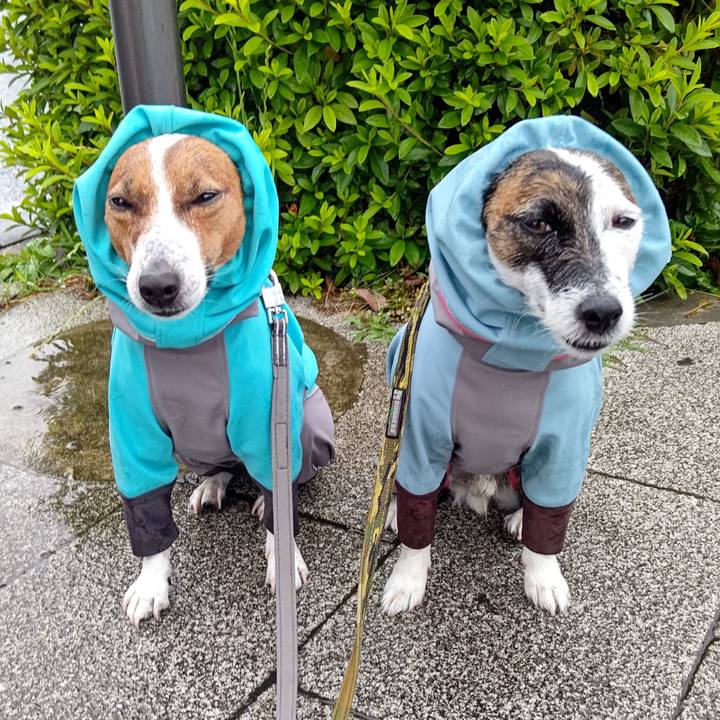 92baf781 7290 497a a619 a867927e3a8d 1685660784604