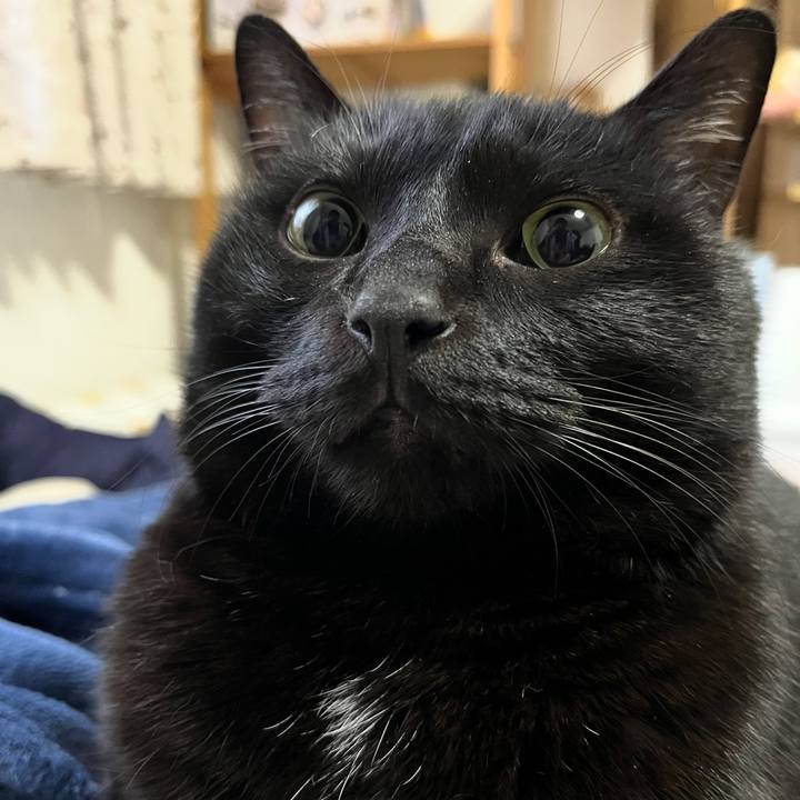 92bb0451 3e40 46e0 b7a7 3f84bb56da13 1764501586052