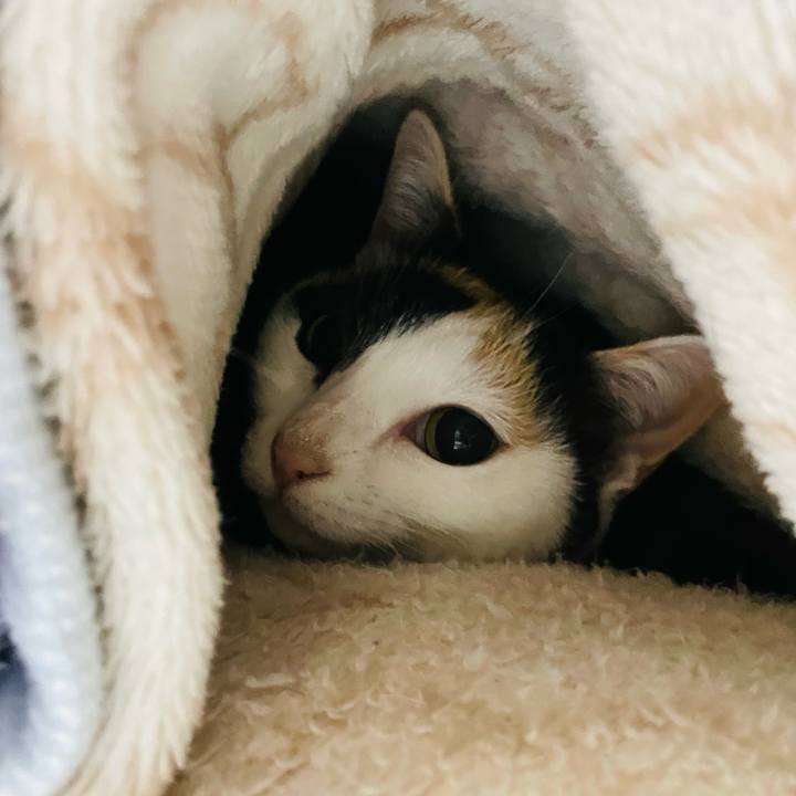 92bb15ea 4c68 4a00 87e7 f3c4a3f17c68 1646272806297