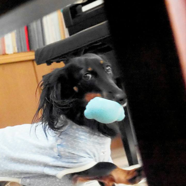 92bb24e8 12a3 49a7 839f f8182e787844 1538520230334