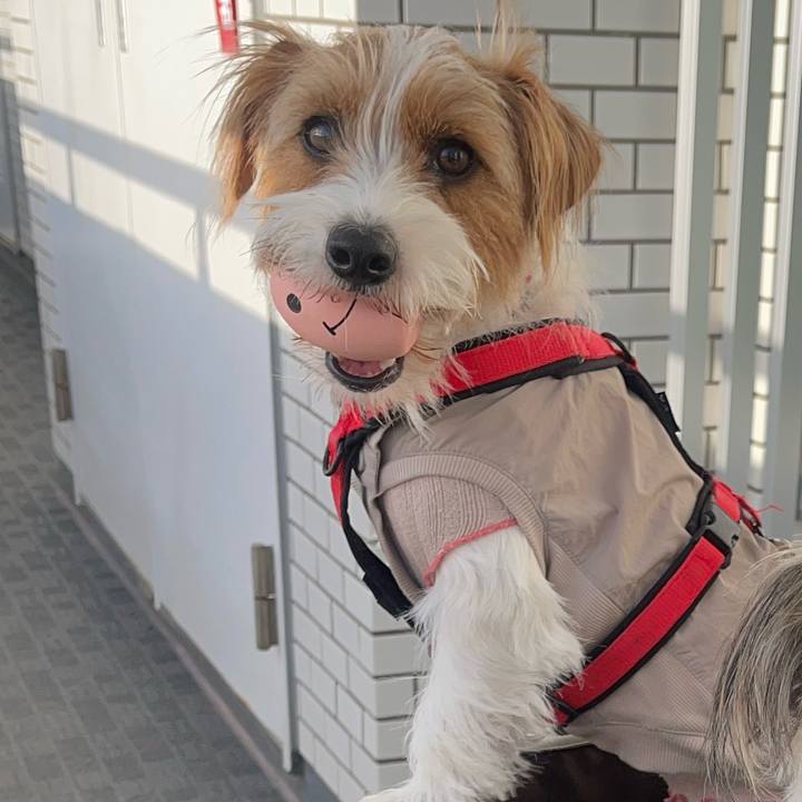 92bb28db a58d 4cd3 9326 74a9fcf7587d 1773477418991