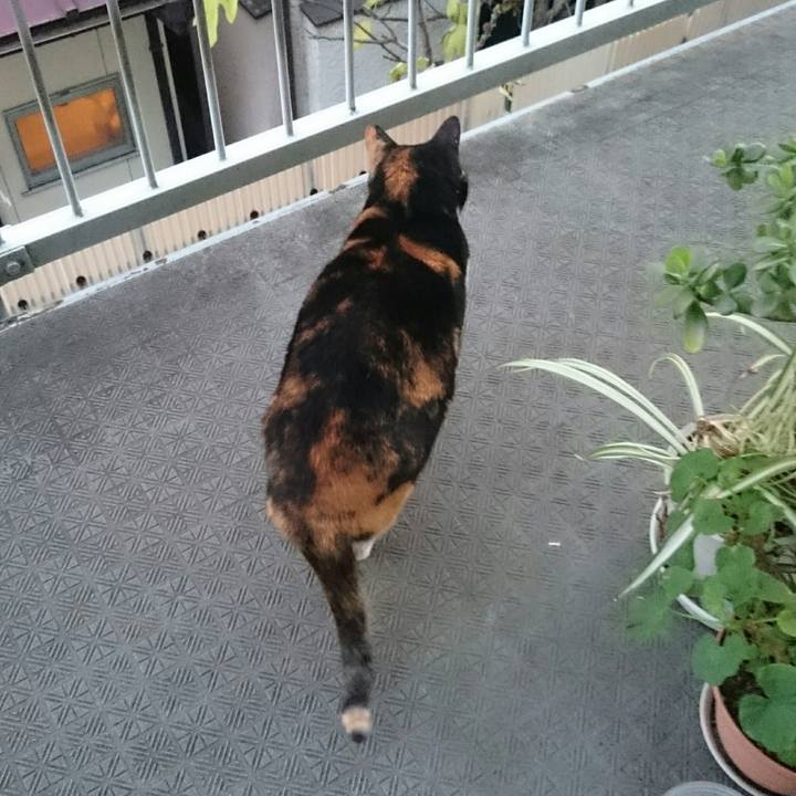 92bb7b4c 2f78 4baf 8981 6d2c47aba220 1513120269536