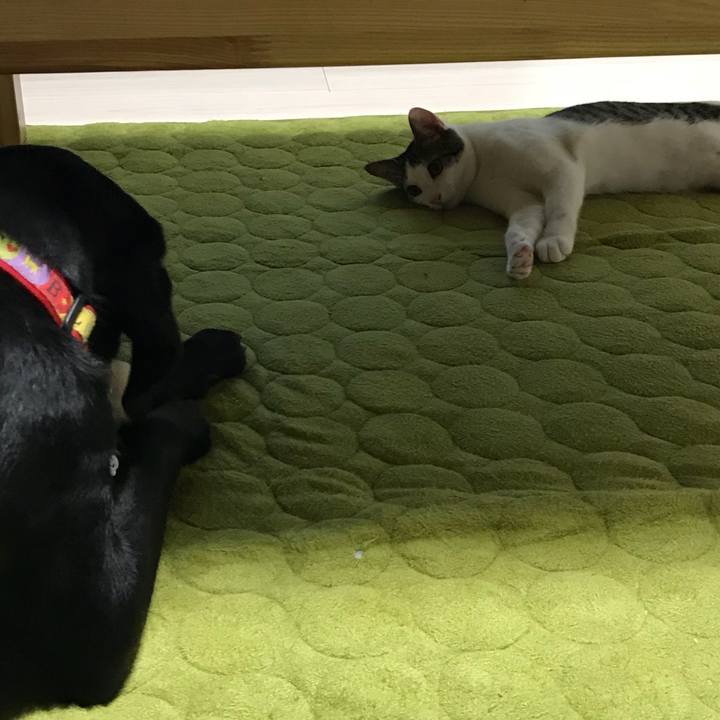 92bbbe77 e031 4f5c 999f 85b08b1bfd29 1538396834854