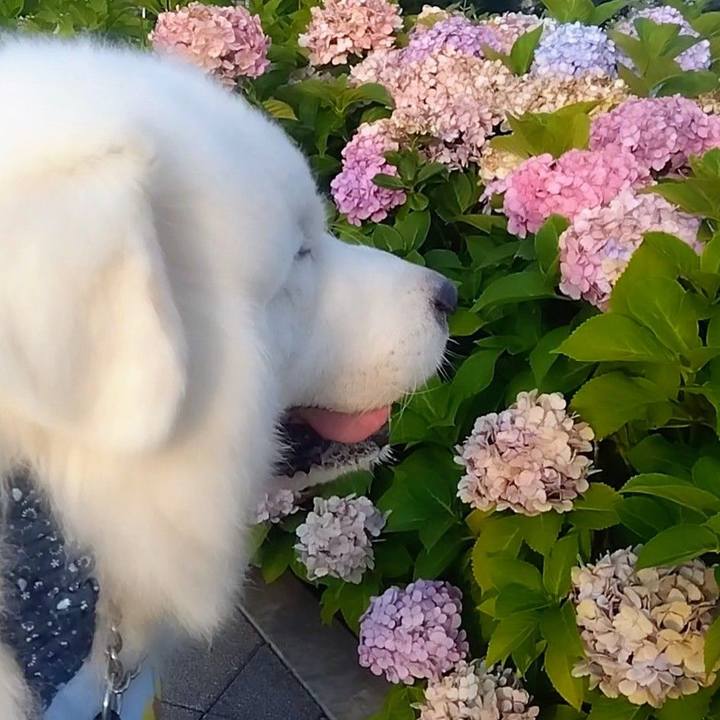 92bbbfab ae29 4f30 8a96 a1bfd40cdba0 1688348090167