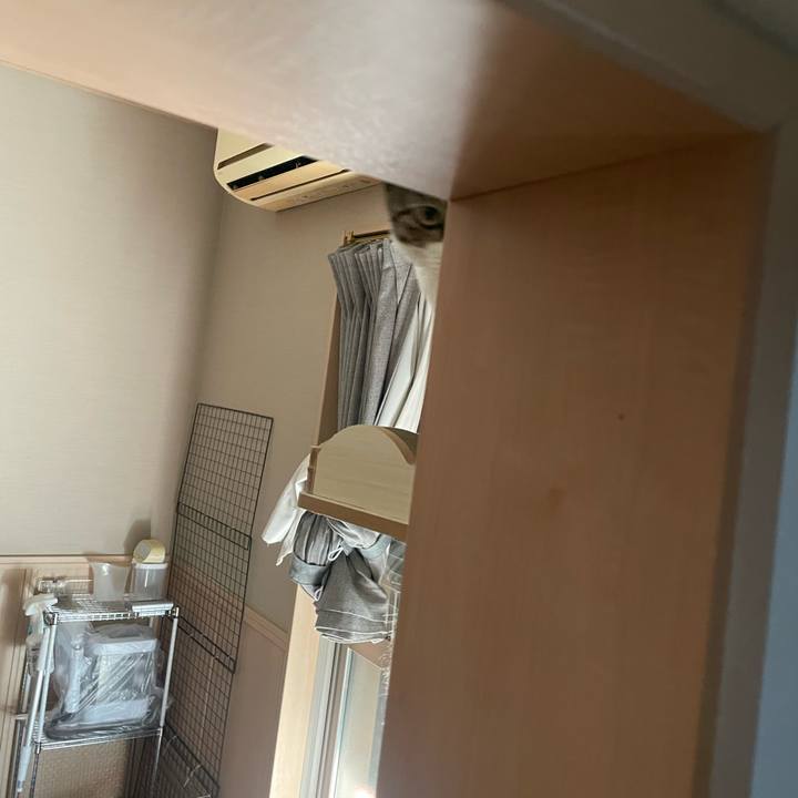 92bbc665 dae1 4e3a 8202 5e000de1e2d5 1759051791307