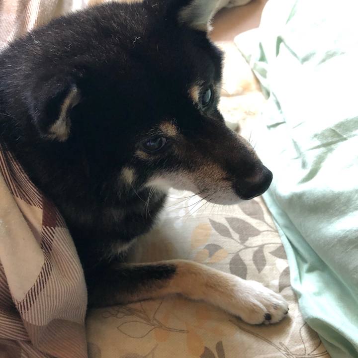 92bbca0a 07c5 4f73 a801 2bb83564e2ba 1592947259341