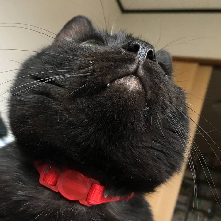 92bbdccf c7a8 4529 b378 5d6698974fa0 1532242815225