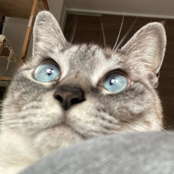 92bbe8d4 8763 4845 9040 2f63491fb596 1649749169516