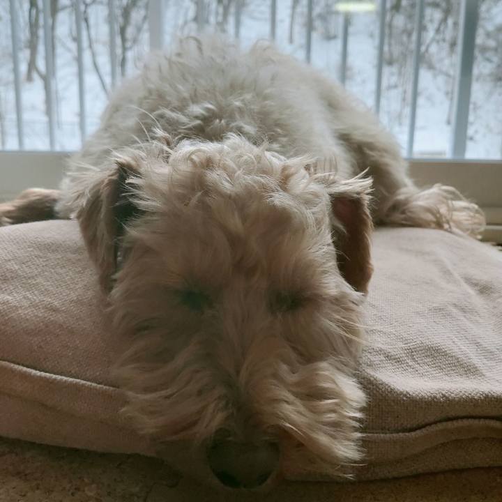 92bbee9a 9232 47b8 b345 ef70c3379e0b 1613342521381