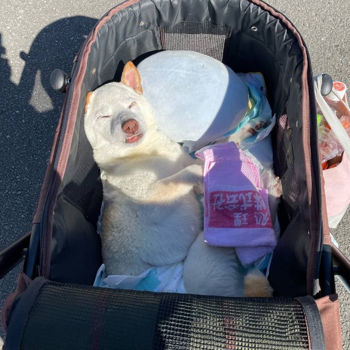 92bbfbcc ab2e 4e95 ab7f d4a4571b5c8e 1667261279032