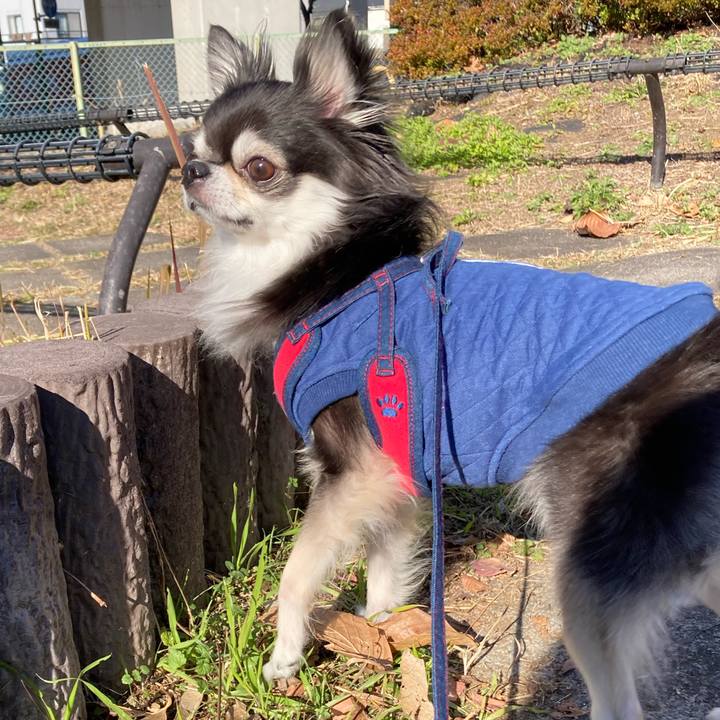 92bc7481 3583 4e72 80db 970d5249fcee 1703847012565