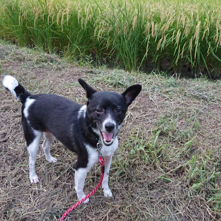 92bc888d 7442 41a4 bbaa e107bc2e5dbd 1629712121586