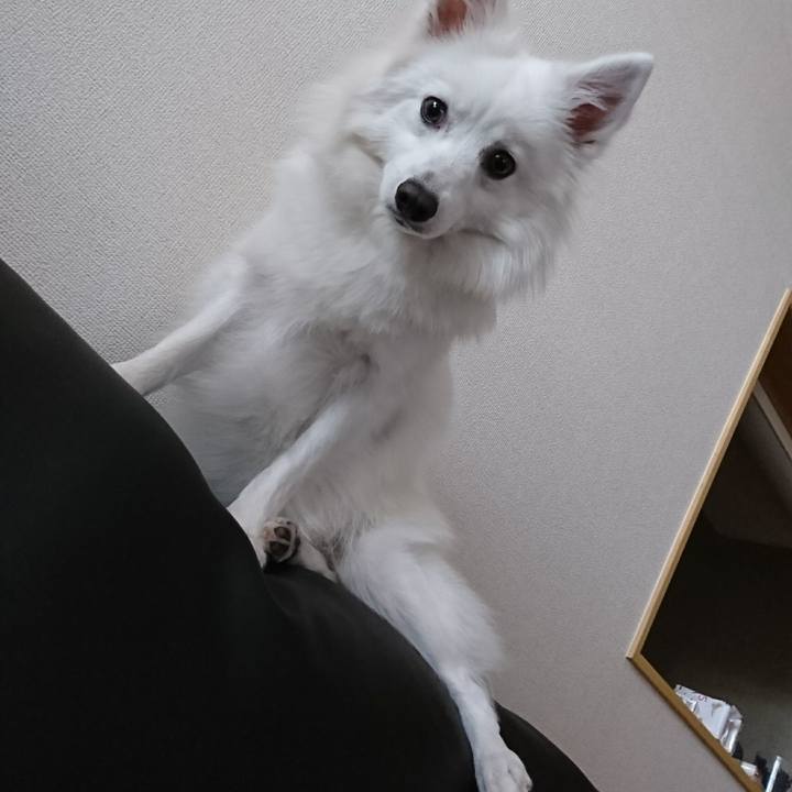 92bc8a1f f629 4378 930f a3618b03ac3c 1515906912745