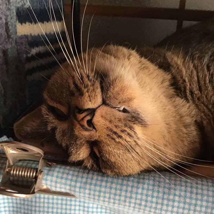 92bc8aeb ce9b 44a9 8e1c 26ed95485ab8 1757409809578