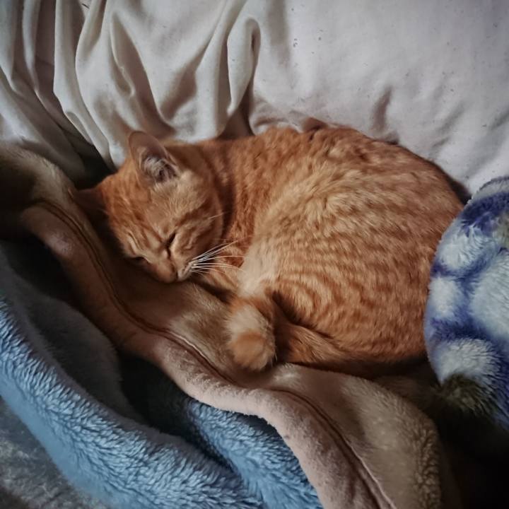 92bc924b 859f 4df7 ac46 5c19a4e1f8db 1649024542367