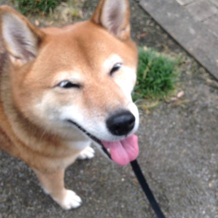 92bc9267 5336 4eb9 9107 d7fbedc3dc11 1536300245965