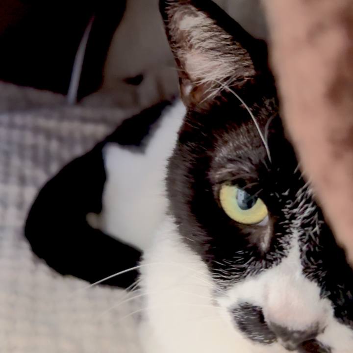 92bc9fe8 07d7 438b a39c 37186c358109 1746155458810