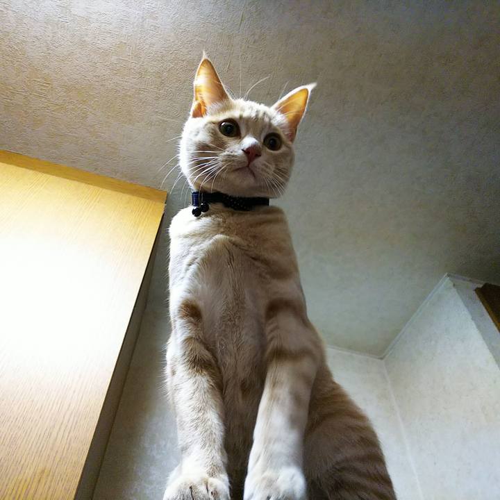 92bcb7b3 d781 4cf9 9bb7 608b948adb41 1547119656670