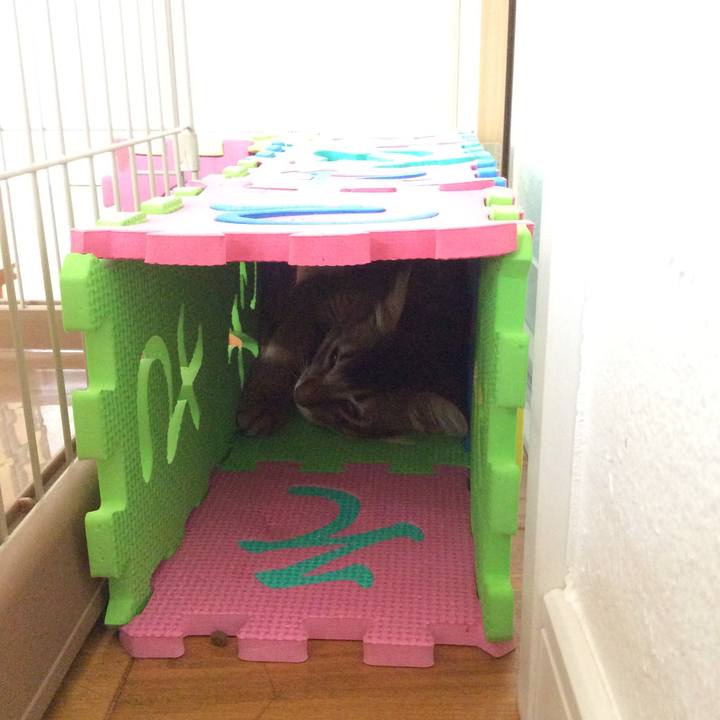 92bcd0f7 b71c 417a 8aea b927c09613bf 1567054241733