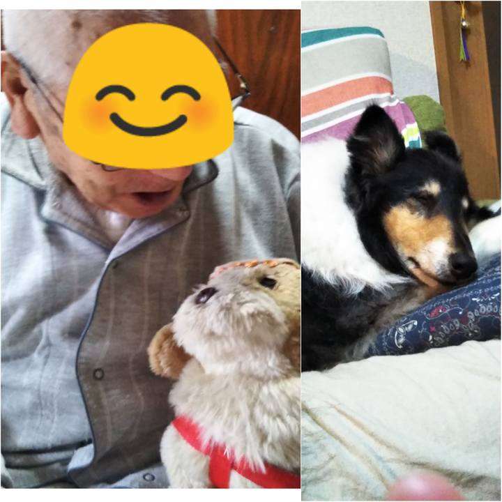 92bcd649 167d 4211 bc29 305b096aa4bf 1592660723195