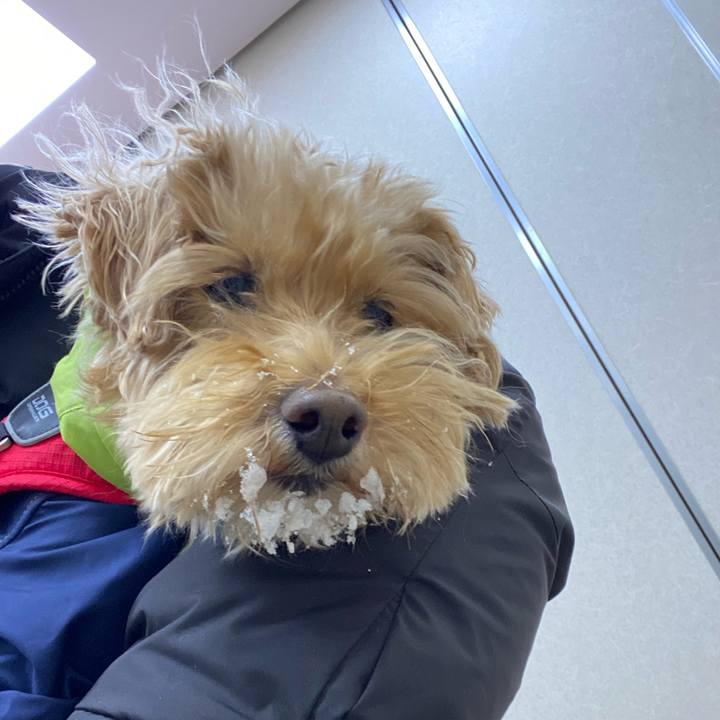 92bcf90d fb6e 4076 9d4b c111d88d2d82 1710370950859