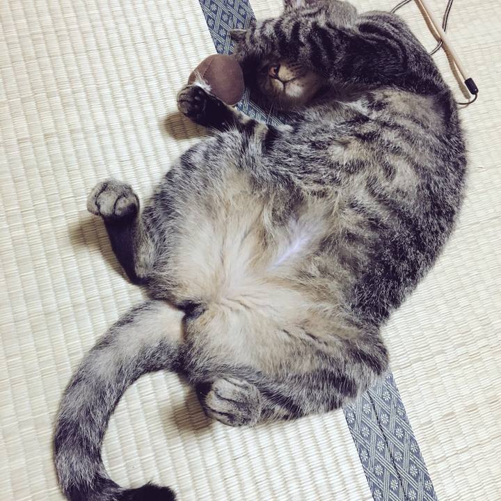 92bd0674 f914 437e 8818 01fd4a83a636 1531023587275