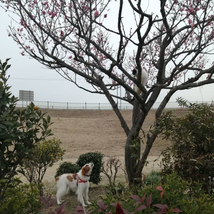 92bd4e90 1fce 4126 9f61 0960d28c0a32 1579691199748