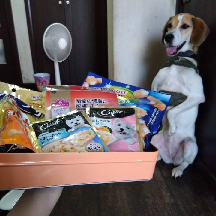 92bdf220 f81c 4074 aae9 08e18b9c12f8 1688733583416