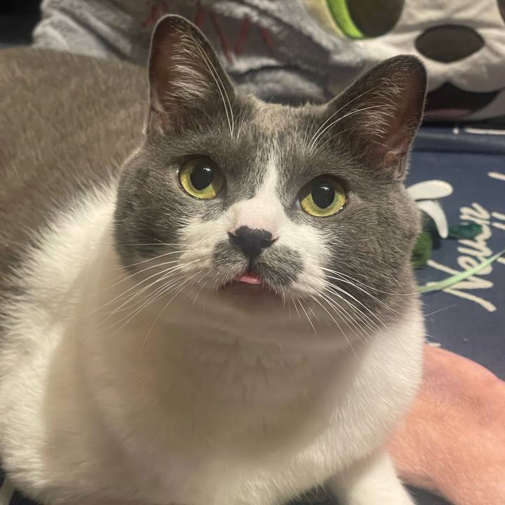 92be089f 83f4 4f28 a63e be93aa72b691 1728816077233