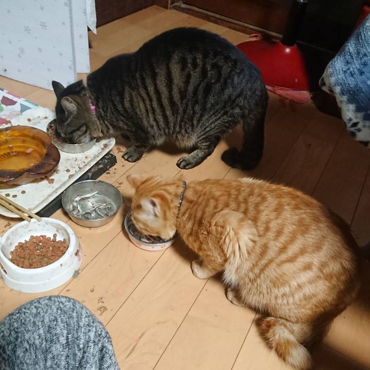 92be320a c74f 4888 b8b2 3f586d39a5f5 1647444615767