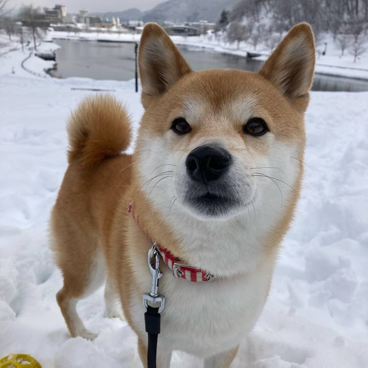 92be3b3d 5f94 4aa1 bbe0 0c455f4db227 1644538677758