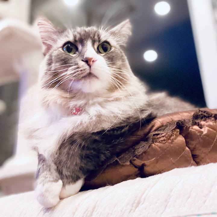 92be7a38 4ed1 4d49 afa0 f16b5d9c9137 1757864026391