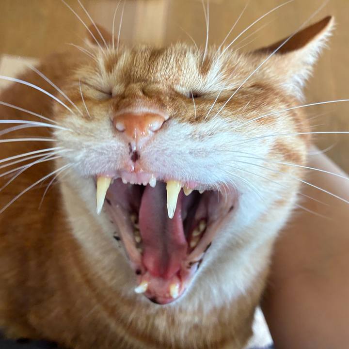 92be9157 b1a1 4fb6 8b6e d22cd92339b9 1749351148762