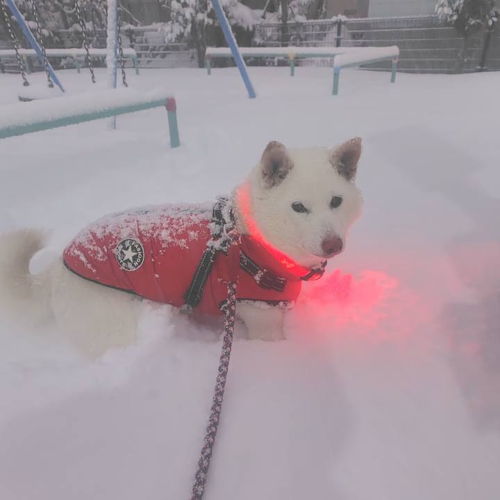 92be9677 b2a7 4c8f a171 38dc806f2658 1738919055694