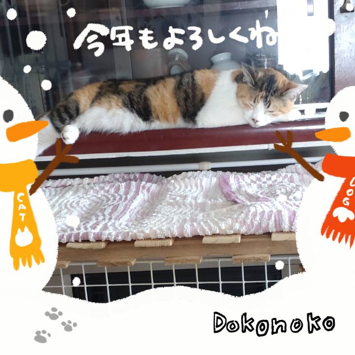 92bea051 fb5d 432d 9aba ec4dae42a7d5 1704168680795