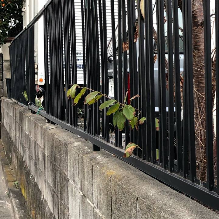 92becd7d af2b 4cc1 9744 36530d5bdf11 1542054694588