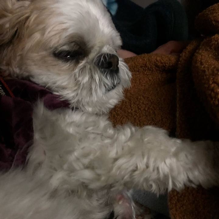 92bed418 be44 40a3 af28 5cf160b83aed 1581975895528