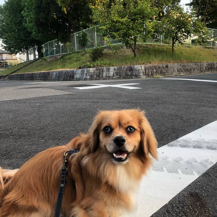 92beef5c 1853 4617 99bf c82c9c1a6fc3 1533243174967