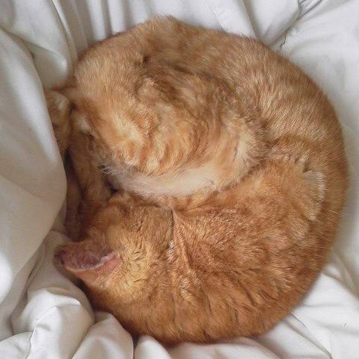 92bef32d c084 4f99 a6ef be7a8dff0cc0 1550484720492