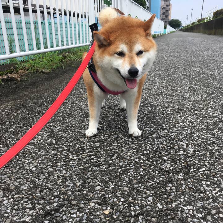 92bf1f67 532a 4a1d bb80 2936b0a866c1 1595640763131